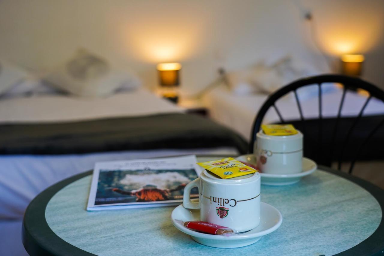 Hotel Le Bellevue Tarascon-sur-Ariège Eksteriør billede